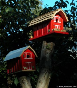 Houses for Birds