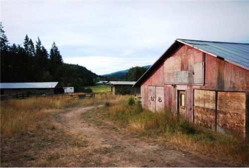 John Deak of Royal LaPage shows a few of the sturdy outbuildings on this rural acreage for sale near Vernon BC and Salmon Arm BC.