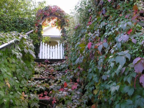 Stairway to Autumn, East Hill is the photo for October in the 2015 Vernon Calendar created by John Deak, with photos by Teresa Deak.