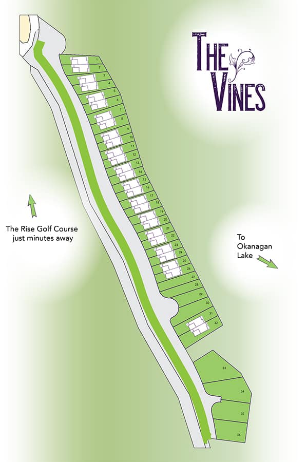 Explore The Vines