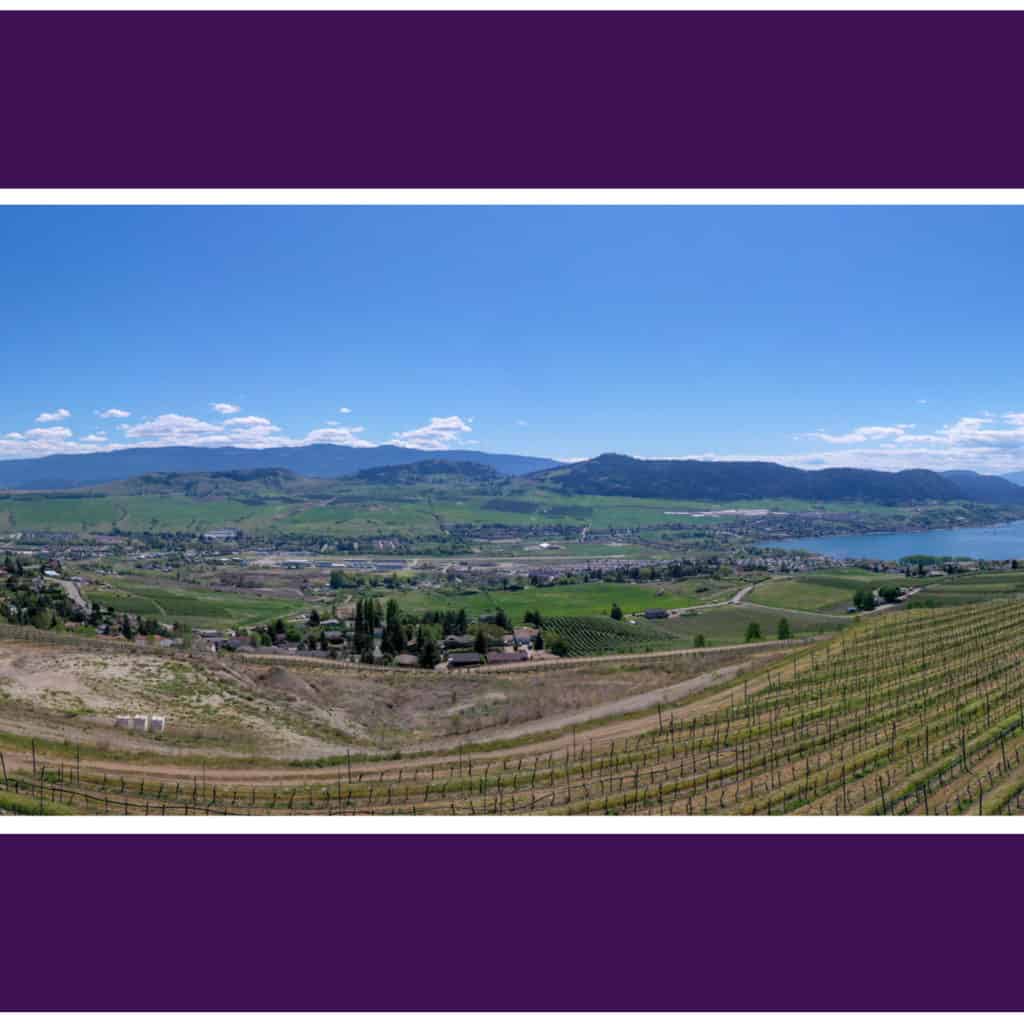 Welcome to #11 & #12 at The Vines
