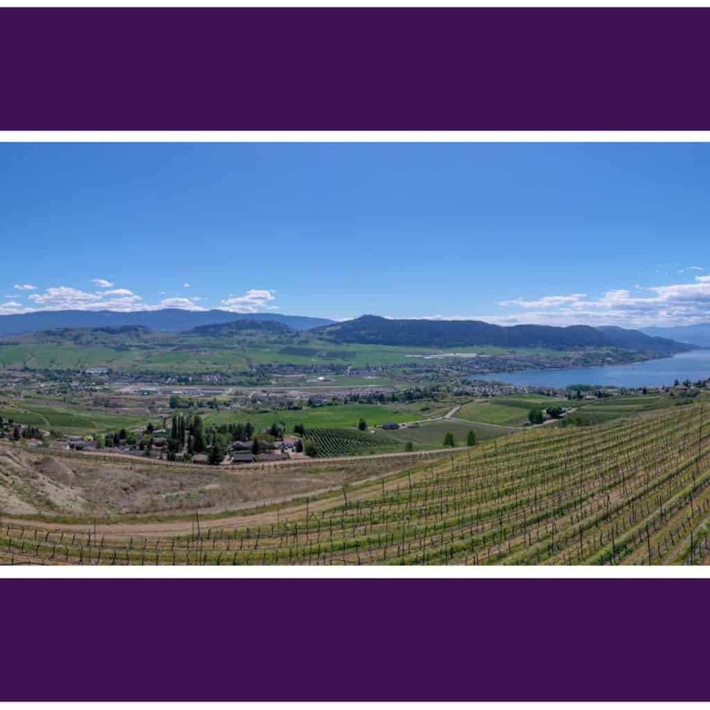 Welcome to #13 & #14 at The Vines