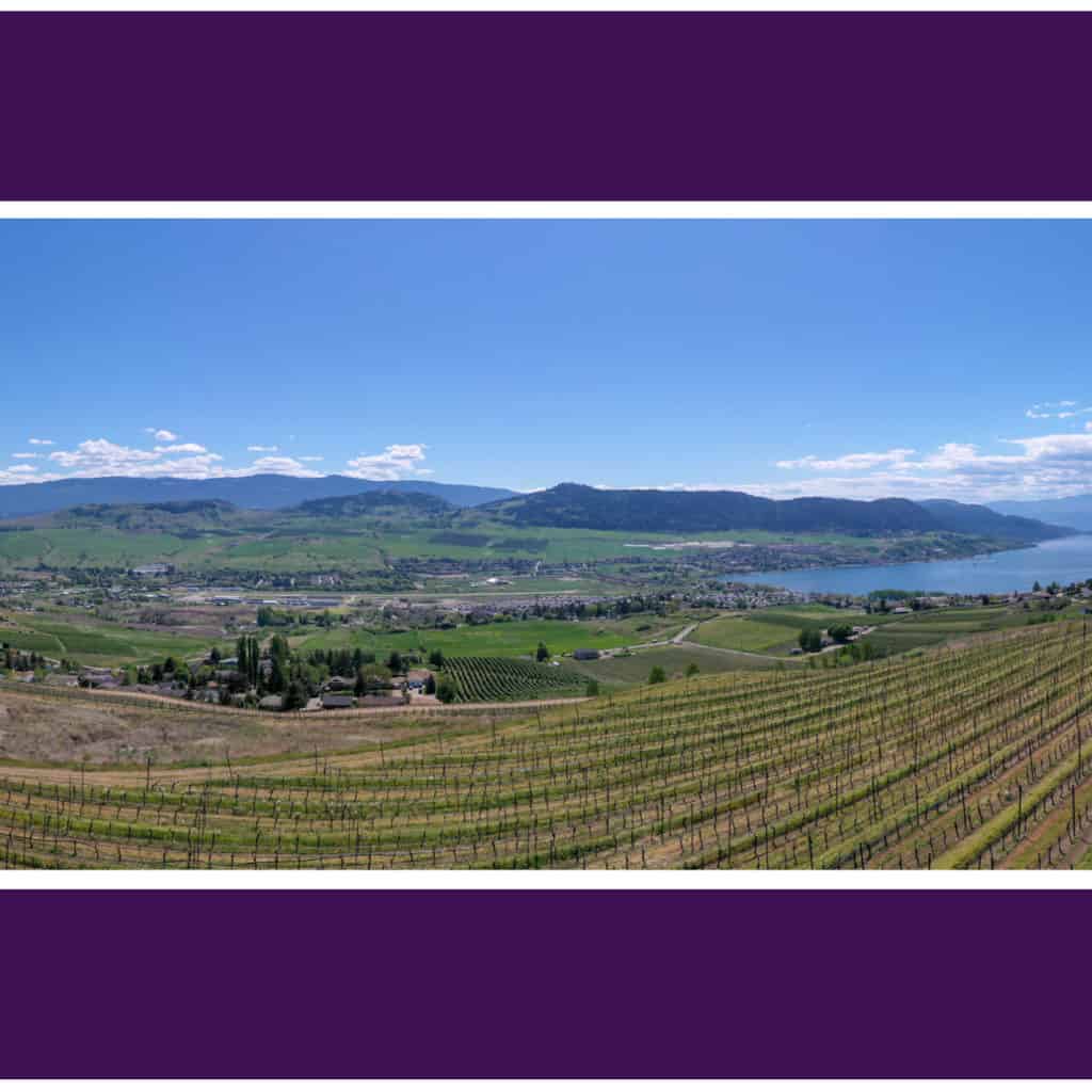 Welcome to #15 & #16 at The Vines