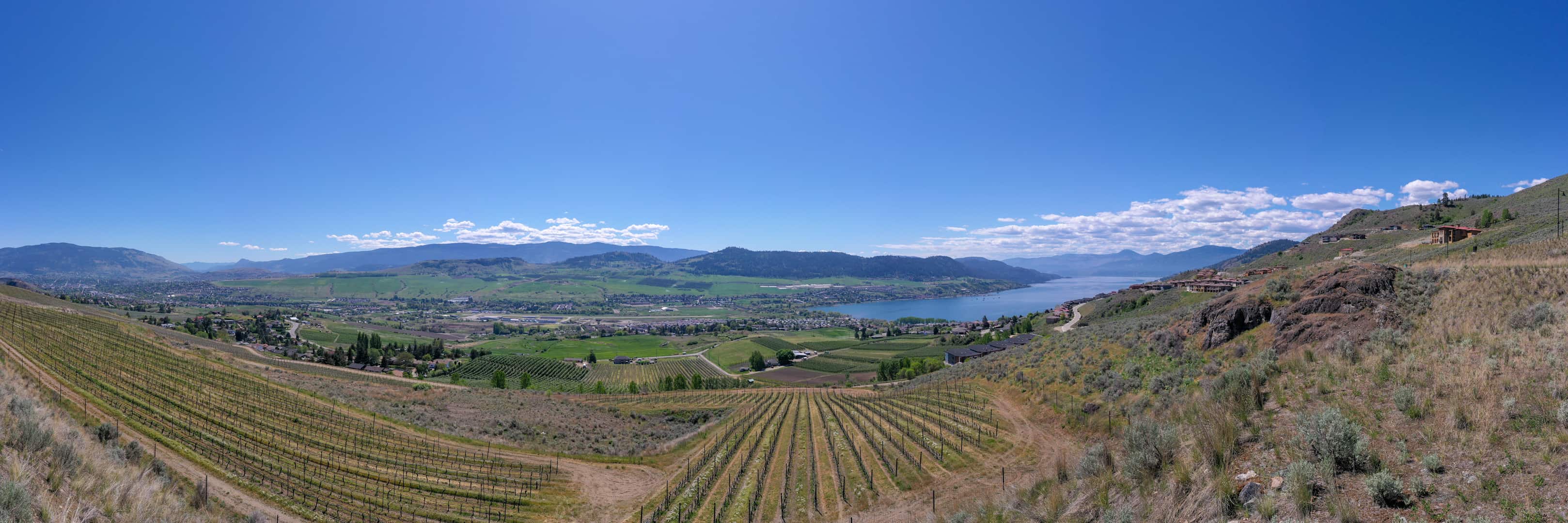 Build your dream home with this view at #33 at The Vines
