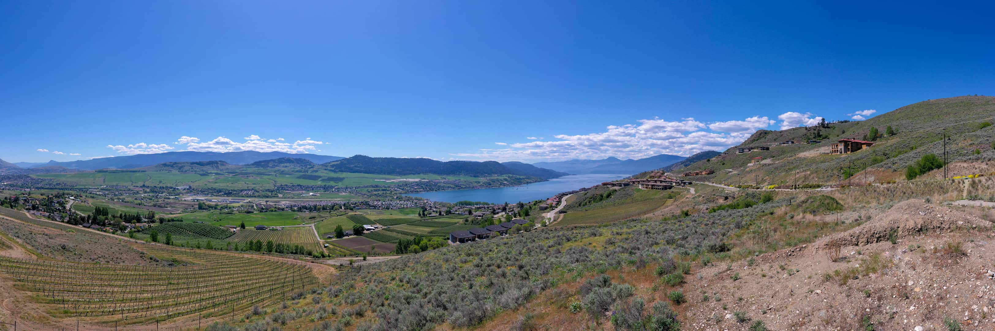 Build your dream home with this view at #34 at The Vines
