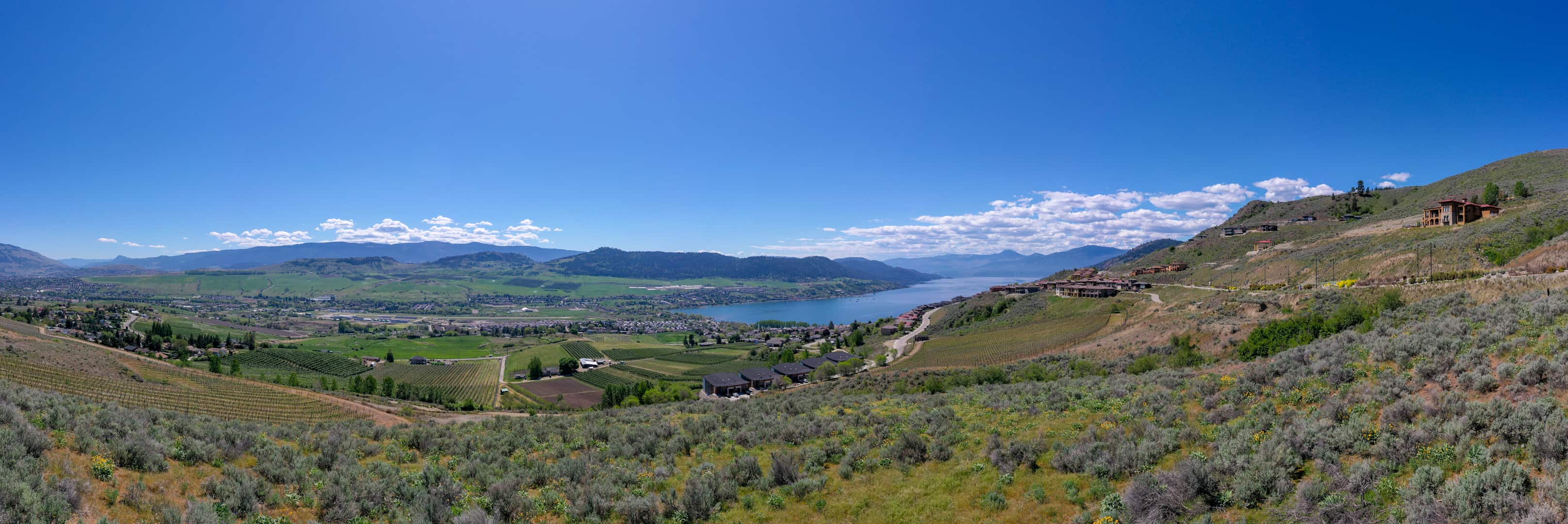Build your dream home with this view at #35 at The Vines