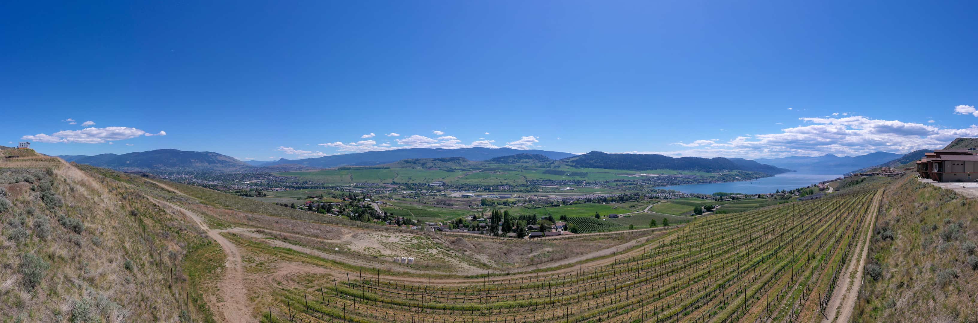View from #11 & #12 at The Vines