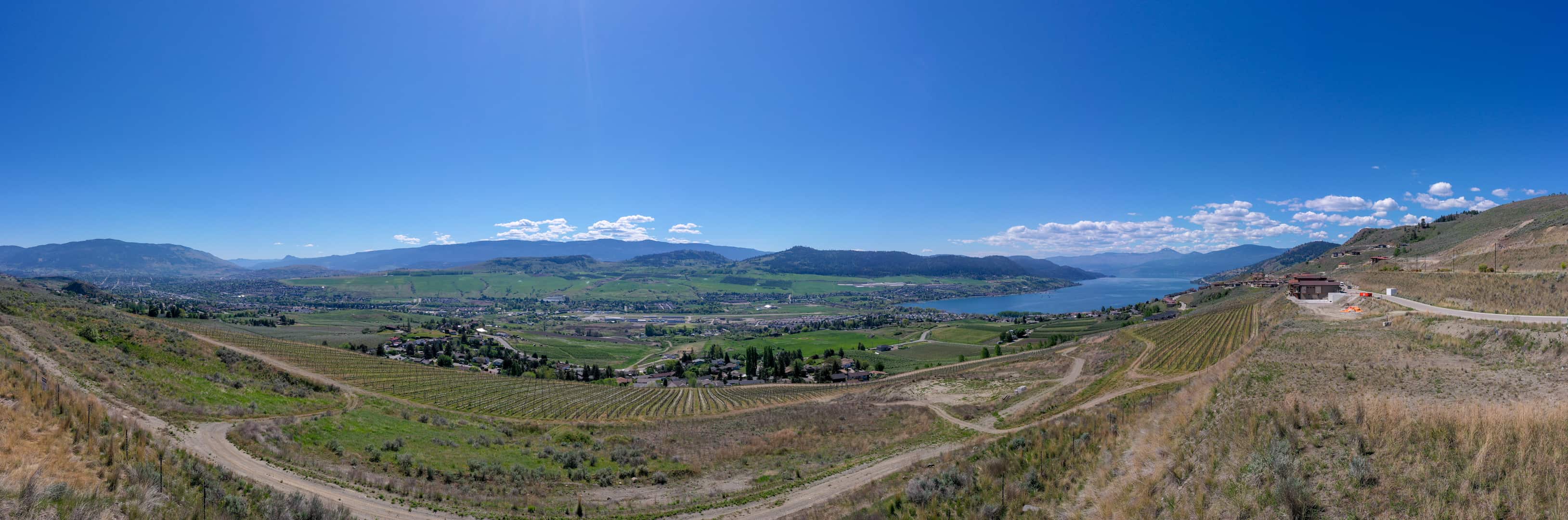 The view from #1 & #2 at The Vines