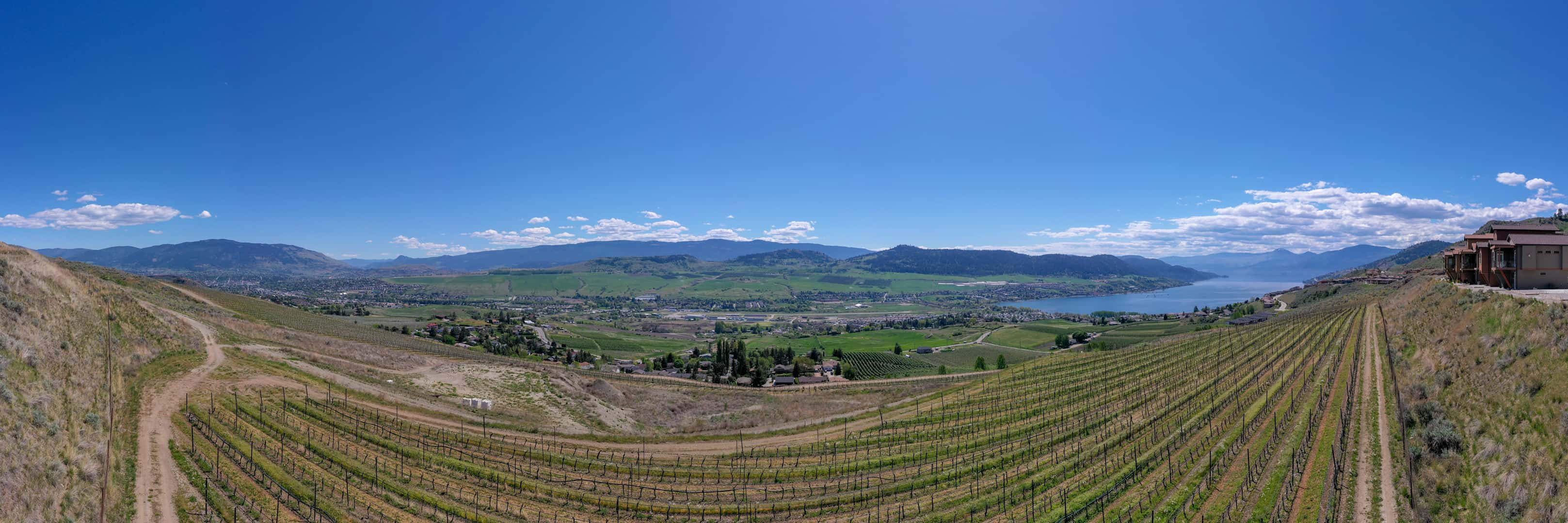 The view from #13 & #14 at The Vines