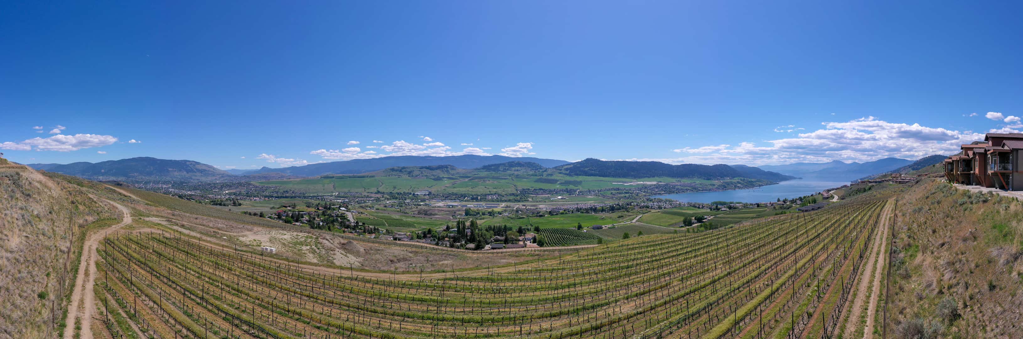 The view from #15 & #16 at The Vines