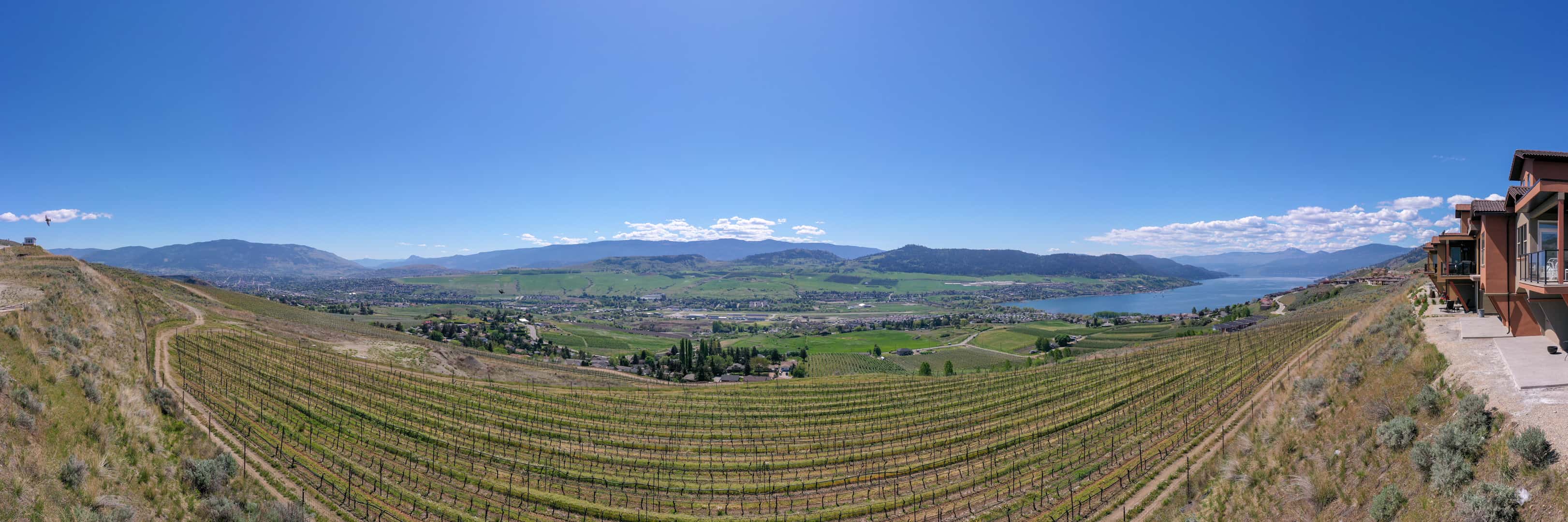 The view from #17 & #18 at The Vines