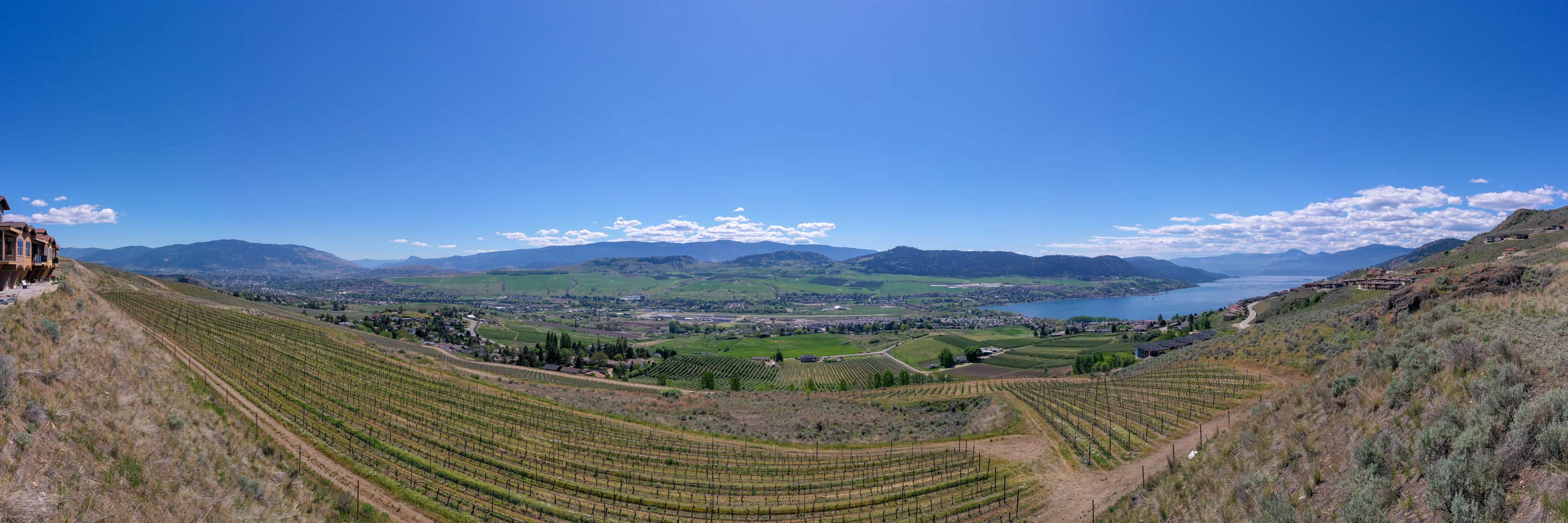 The view from #31 & #32 at The Vines