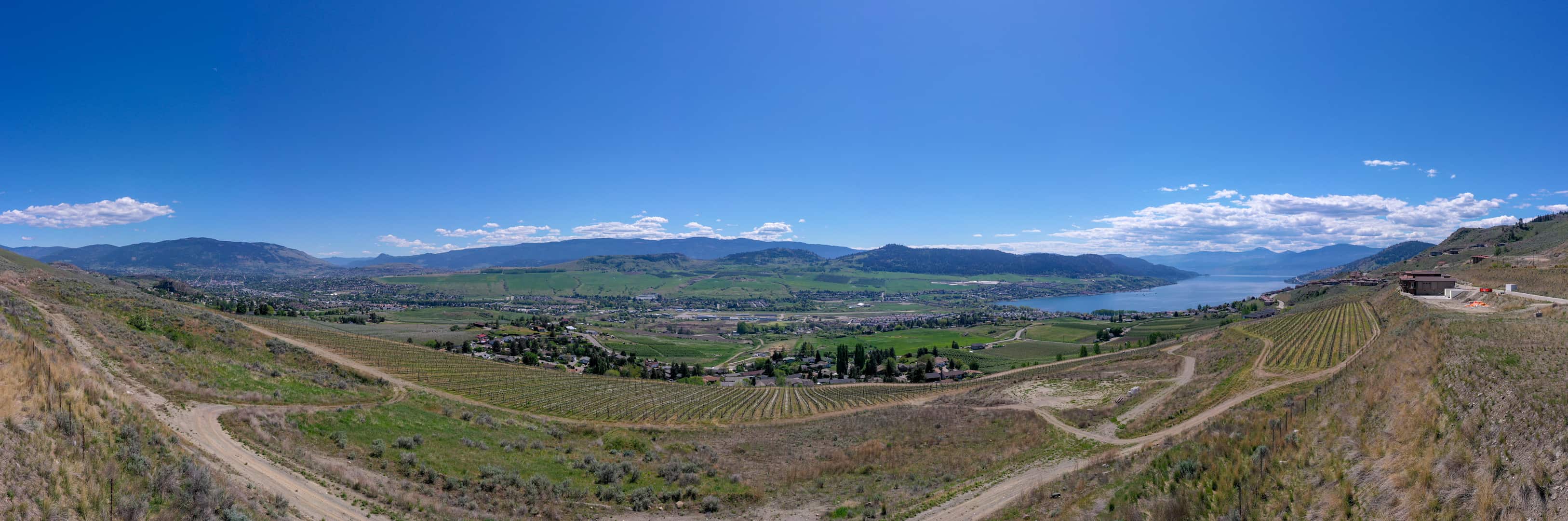 The view from #3 & #4 at The Vines