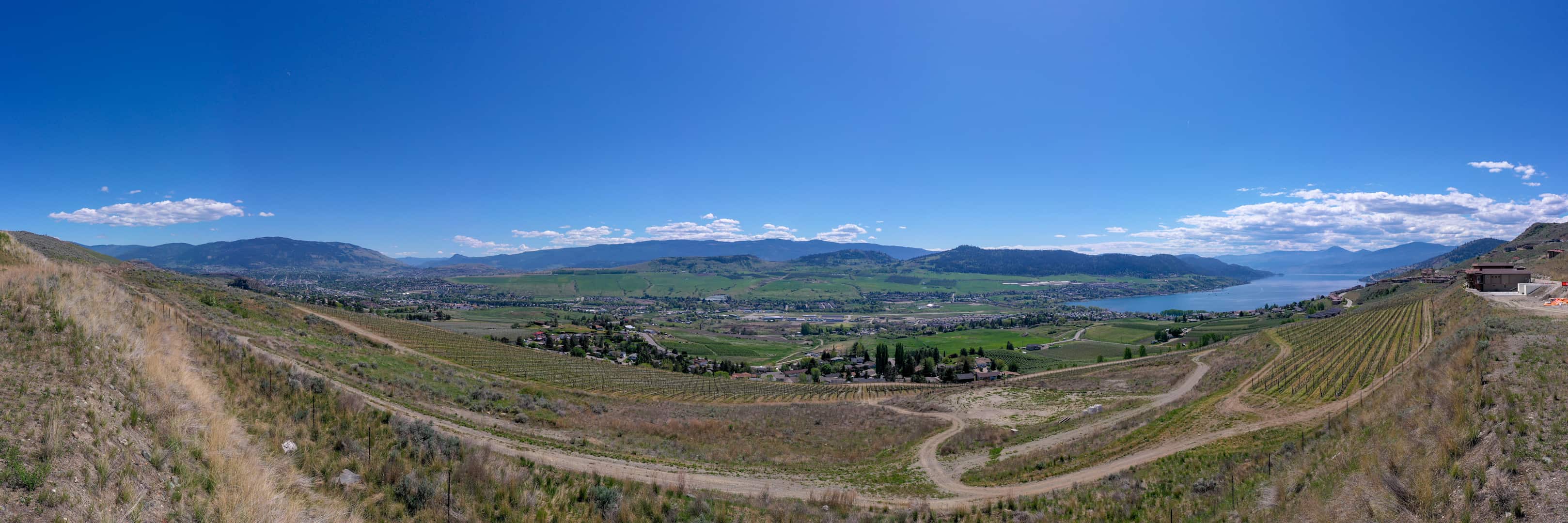 The view from #5 & #6 at The Vines