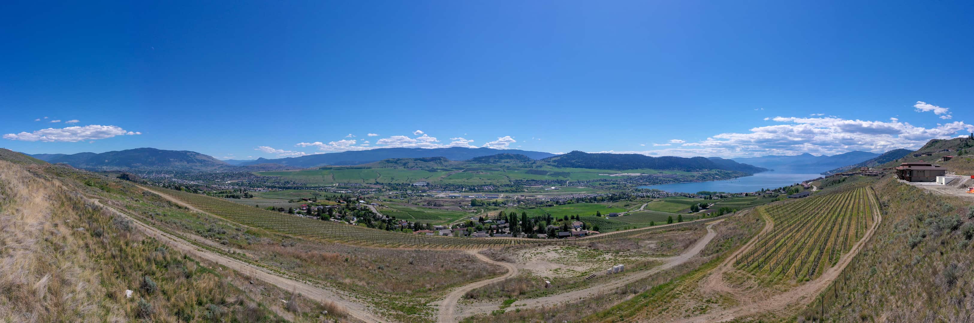 The view from #7 & #8 at The Vines