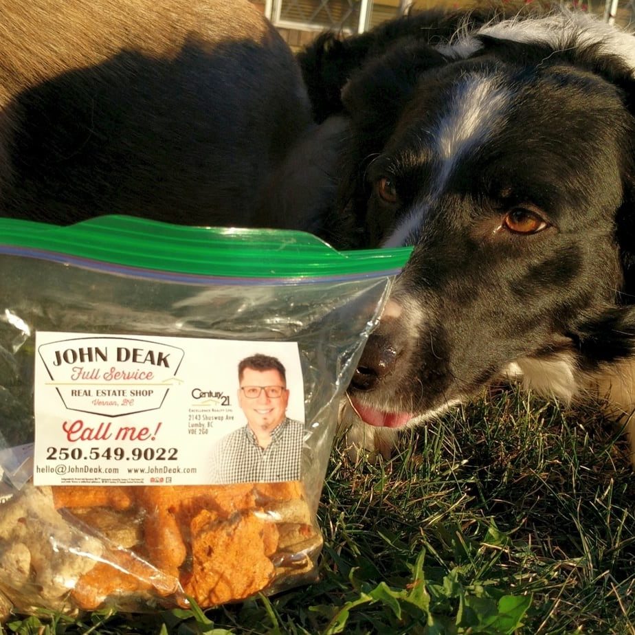 John Deak offers dog cookies for free at a number of business in Vernon BC. Stop in to get some for your pooch and see if they like the cookies as much as our Islay does!